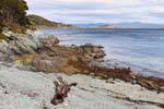Driftwood en la orilla, Parque Nacional Tierra del Fuego, Ushuaia, Argentina.