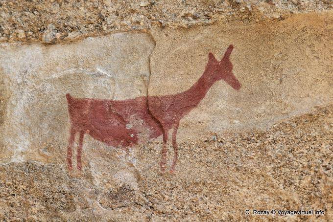 Centrarse en la pintura guanaco prehistórico, cueva femenina Tehuelche, Walichu - Argentina
