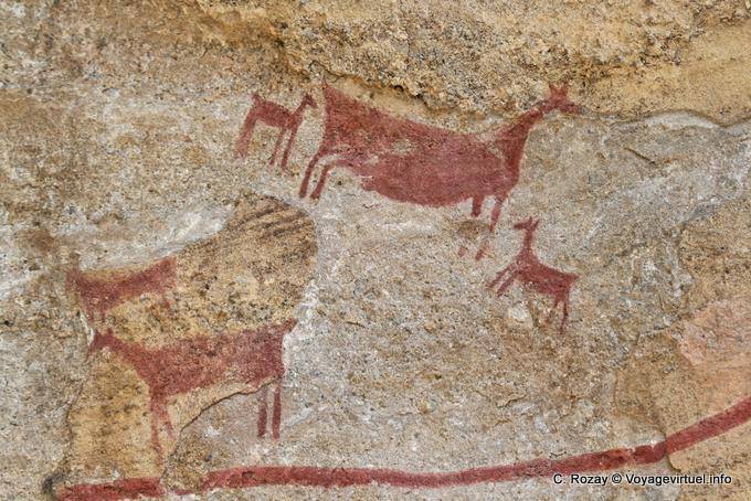 La madre y los pequeños guanacos hacen pintura, pintura rupestre Tehuelche, Walichu - Argentina