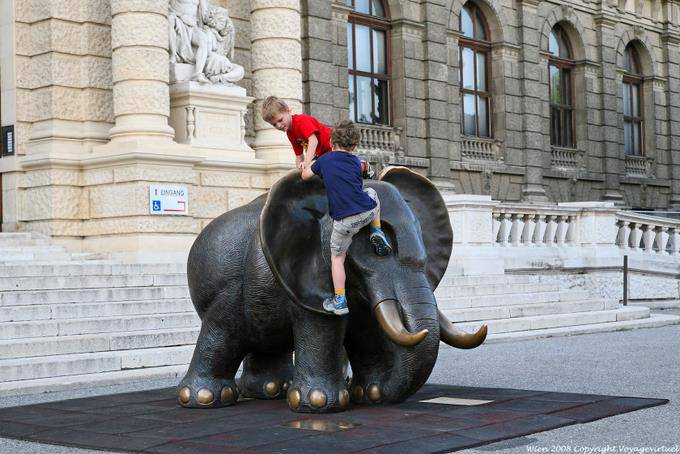 Naturhistoriches Museo, subir en elefante - Viena - Austria