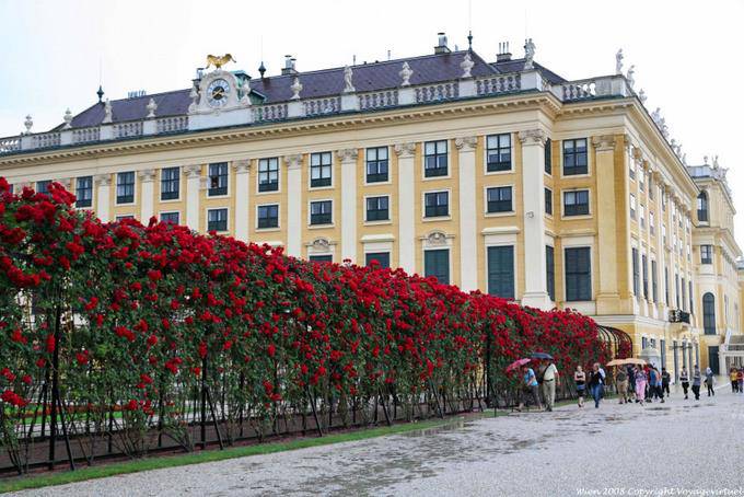 Schönbrunn, Jardín de las Rosas - Viena - Austria