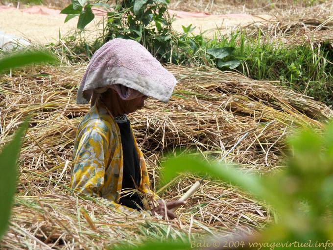 Campesina tradicional, Bali - Bali