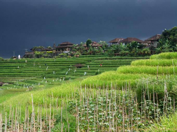 Cultura y pueblo Gunungsari - Bali