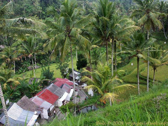 Vista superior de Gunung Kawi - Bali