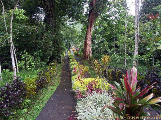 En el jardín, Luhur Batukaru. - Bali