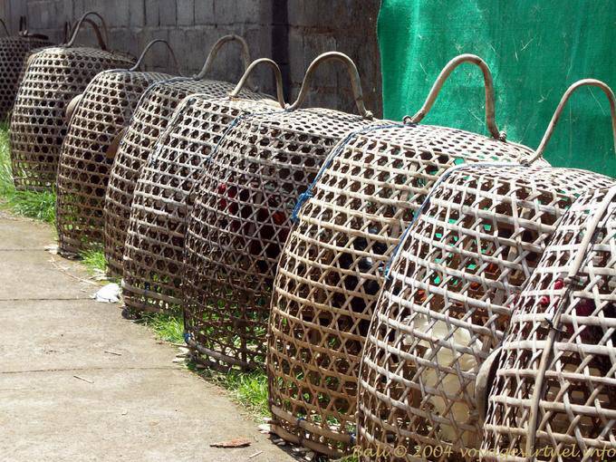 Cajas de Aves de Corral, Penglipuran - Bali