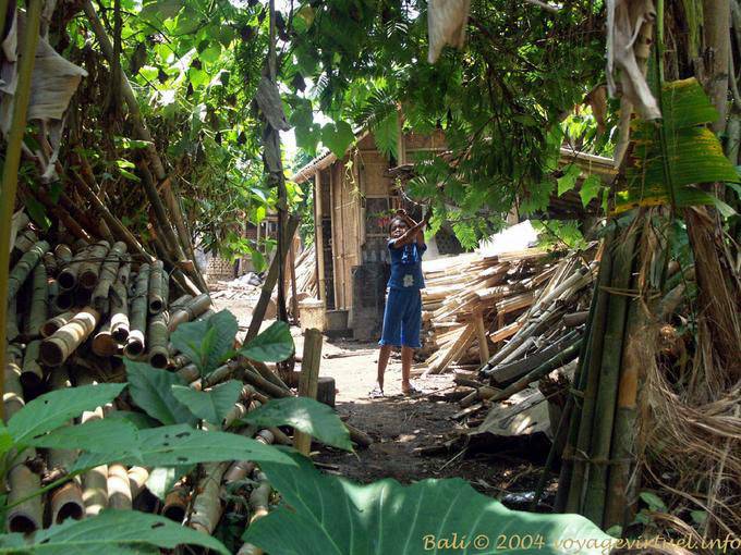 Gimnasio de la mañana Penglipuran - Bali