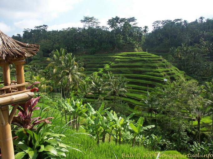 Paisaje Gunung Kawi - Bali