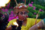 Transporte Llama Uluwatu Kecak danza, Bali.