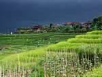 Cultura y pueblo Gunungsari, Bali.