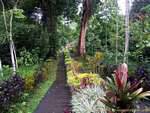 En el jardín, Luhur Batukaru., Bali.