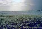 Campo Scum, Quiberon, Bretaña, Francia.