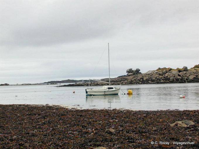 El barco de vela en la bahía, Roscoff, Bretaña - Francia