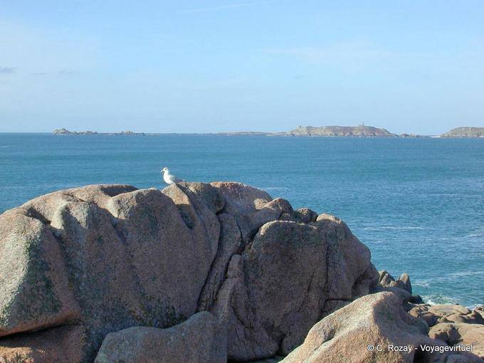 Gull Island Tomé y apagado, Perros Guirec, Bretaña - Francia