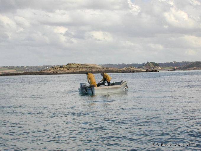 Una pesca en la bahía de Morlaix, Bretaña - Francia