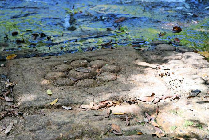 Flor de Piedra, sitio web Kbal Spean, Angkor, Camboya