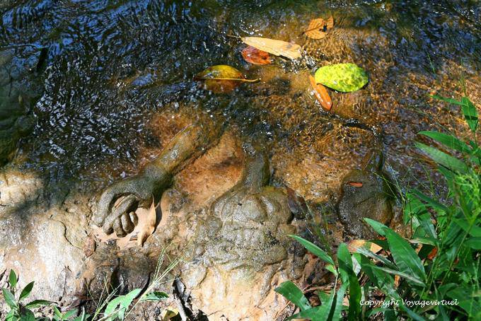 Piedra mano fuera del agua, sitio web Kbal Spean, Angkor, Camboya