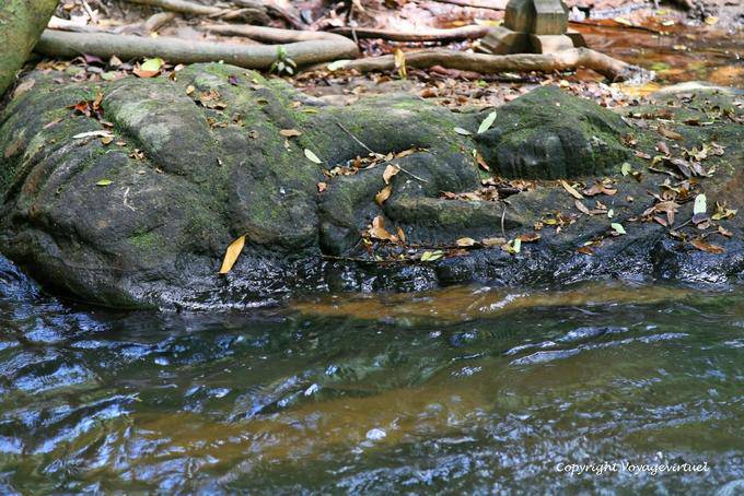Vishnu acostado en la cama, Kbal Spean, Angkor, Camboya