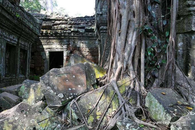 Ruinas cubiertos de vegetación, Ta Prohm, Angkor, Camboya