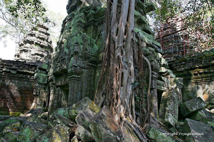 Arquitectura de privacidad y la naturaleza en Ta Prohm, Angkor, Camboya