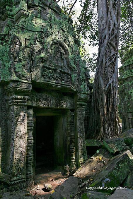 Frontón de una puerta, Ta Prohm, Angkor, Camboya