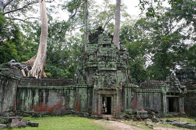 Gopura Puerta, Ta Prohm, Angkor, Camboya