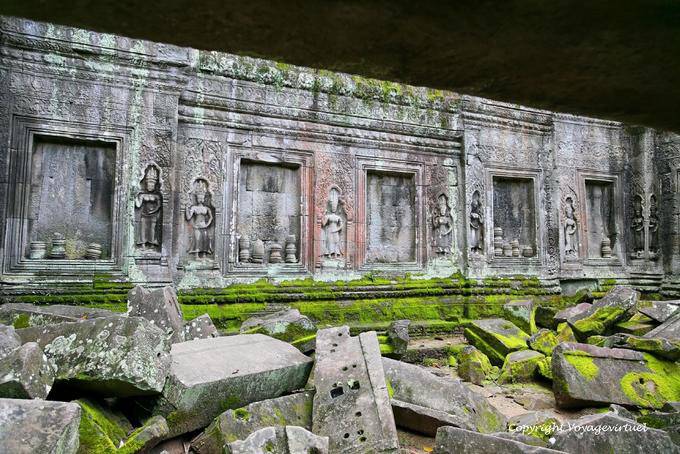 La invasión de espuma, Ta Prohm, Angkor, Camboya