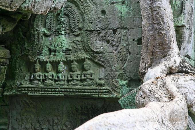 Detalle budista, Ta Prohm, Angkor, Camboya