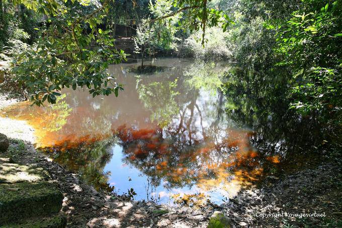 Colorido Mare Ta Phrom, Angkor, Camboya