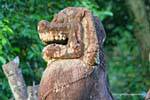 Los dientes del león, Preah Khan, Camboya.