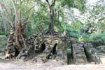 Mezcla de ruinas y árboles entrelazadas raíces, Prasat Thom Manon, Camboya.
