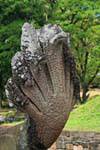 Naga con múltiples cabezas, Terraza del Rey Leproso, Angkor Thom, Camboya.