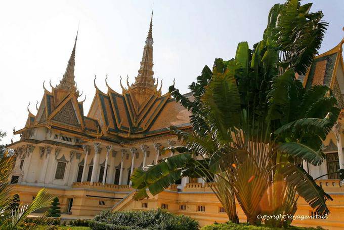 Árbol del viajero en el jardín del Palacio Real, Phnom Penh - Camboya