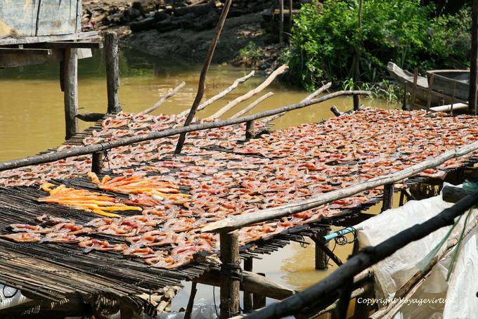 Peces que se está secando, Siem Reap - Camboya