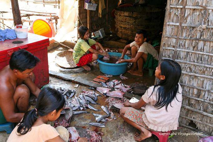 Limpieza del pescado capturado, Siem Reap - Camboya