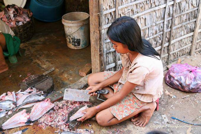 Cortar el pescado antes de su secado, Siem Reap - Camboya