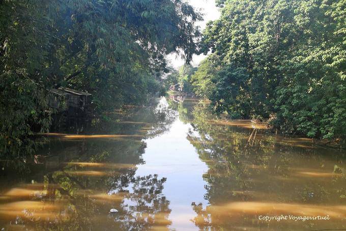 La vegetación, la luz y la sombra en el río Siem Reap - Camboya