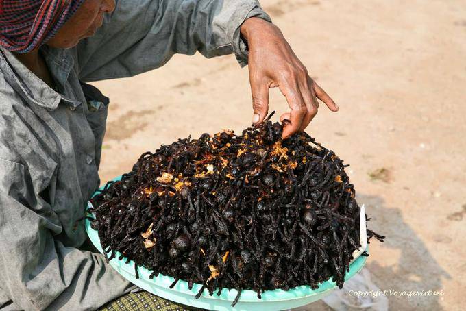 Arañas alimenticios son buenos para la salud, Skun (Skuon) - Camboya