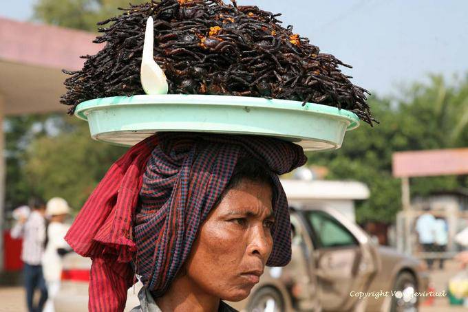 Las tarántulas harina de papas fritas es fresco, Skun (Skuon) - Camboya