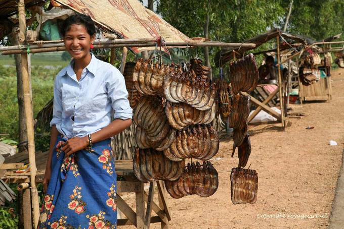 Suspensiones de peces y reírse de Camboya hacia Batheay - Camboya