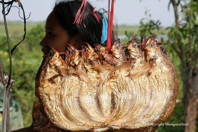 Mezcla artística de pescado seco, alrededor Batheay, - Camboya