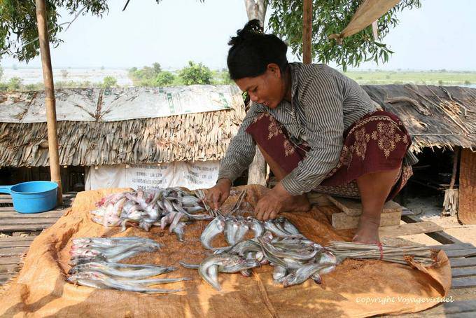 Preparación de brochetas de pescado, Kaoh Chen - Camboya