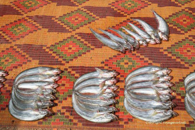 Puesto de pescado fresco en la estera colorida Kaoh Chen - Camboya