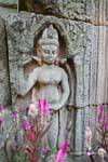 Flor y la escultura en piedra arenisca, Wat Nokor, Kampong Cham, Camboya.