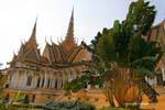Árbol del viajero en el jardín del Palacio Real, Phnom Penh, Camboya.