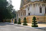Topiary alineación, Palacio Real de Phnom Penh, Camboya.