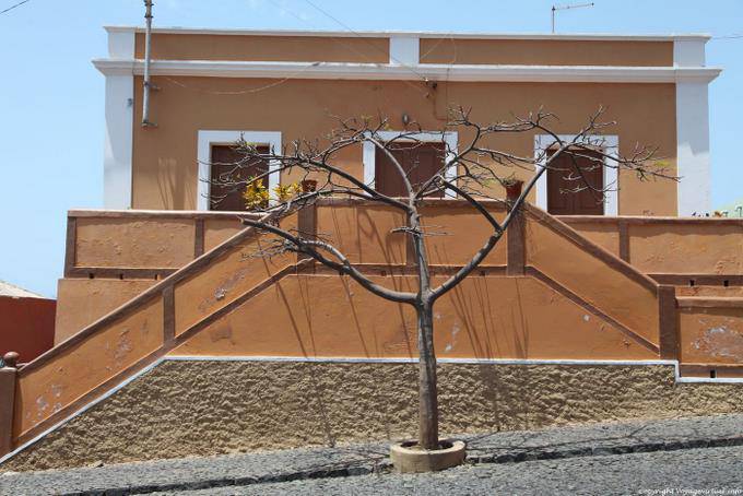 Fogo, São Filipe, árbol gráficos - Cabo Verde