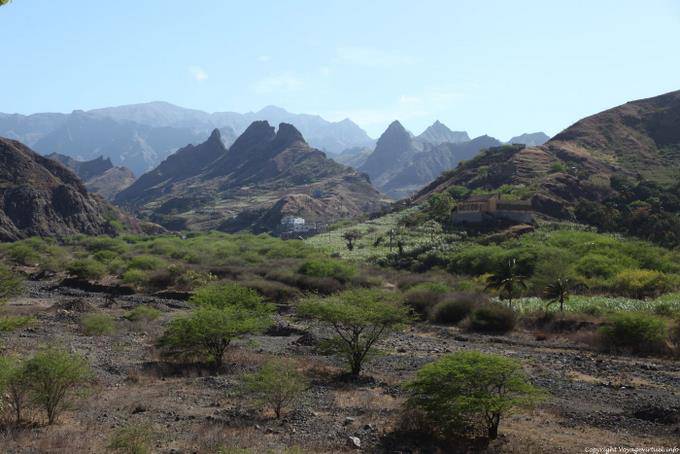 Santo Antão, Cocculi - Cabo Verde