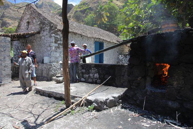 Groguerie Local, Santo Antão, Lombo Pico Xoxo - Cabo Verde