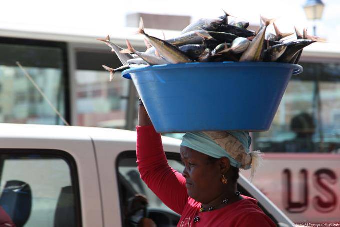 São Vicente, Mindelo, pescado en la cabeza - Cabo Verde